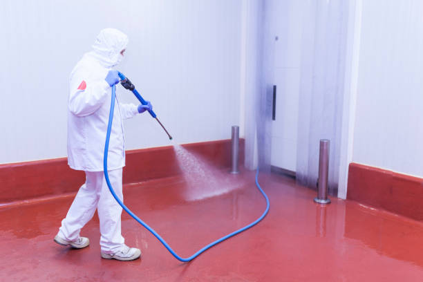Best Spring Cleaning  in Lake Barcroft, VA