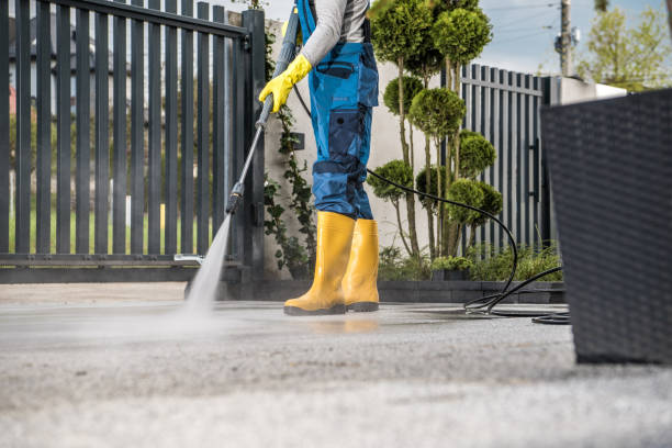 Boat and Dock Cleaning in Lake Barcroft, VA